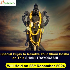 Shani Trayodashi Special Shani Dosha Pujas and Masa Shivaratri Special Rudrabhishekam