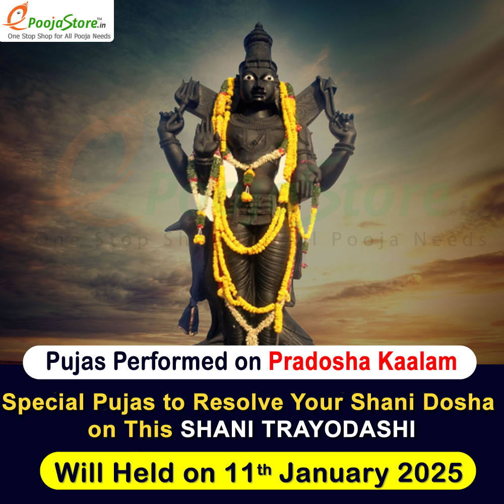 Shani Trayodashi Special Shani Dosha Pujas and Masa Shivaratri Special Rudrabhishekam