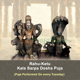 Rahu Ketu Puja For KalaSarpa Dosha To Nullify The Malefic Effects (Puja Performed On Tuesday)
Lord Subramanya Swamy Abhishekam For Sarpadosha On Tuesday