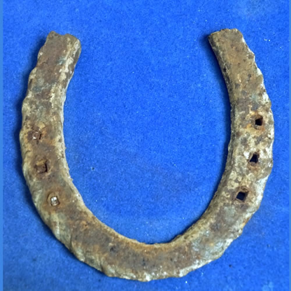 Equestrian Jewelry 14 kt Diamond Horseshoe Ring RGHS215 - Churchwell's  Jewelers